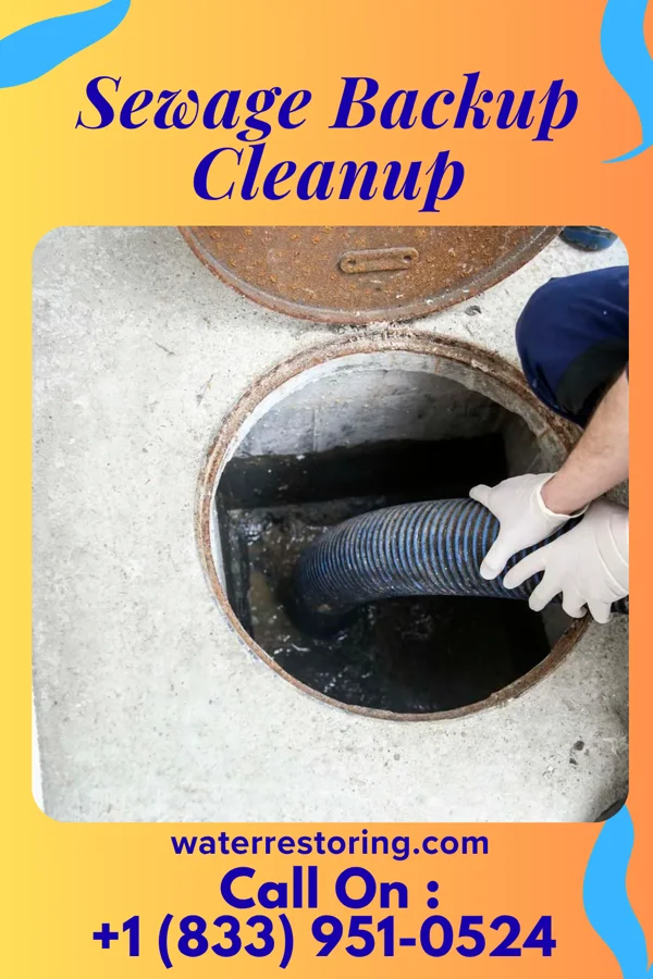 Sewage Backup Cleanup in Troy, MO